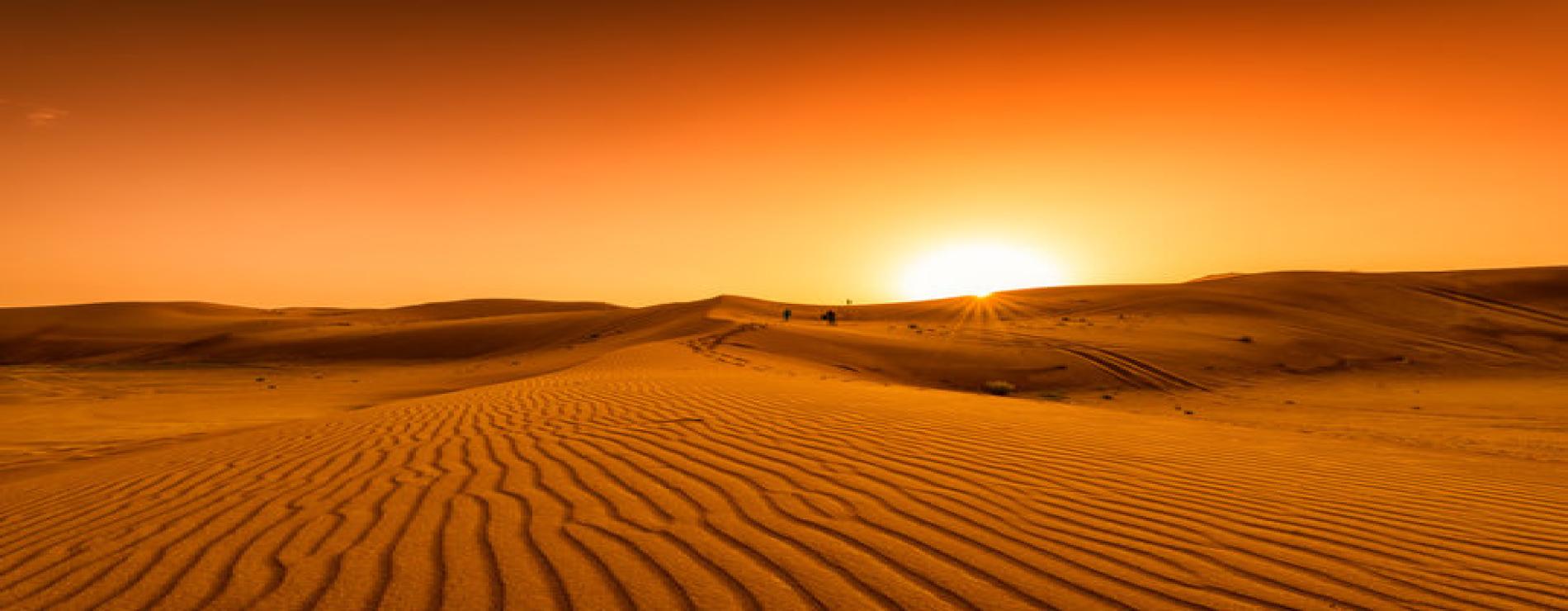 Desert